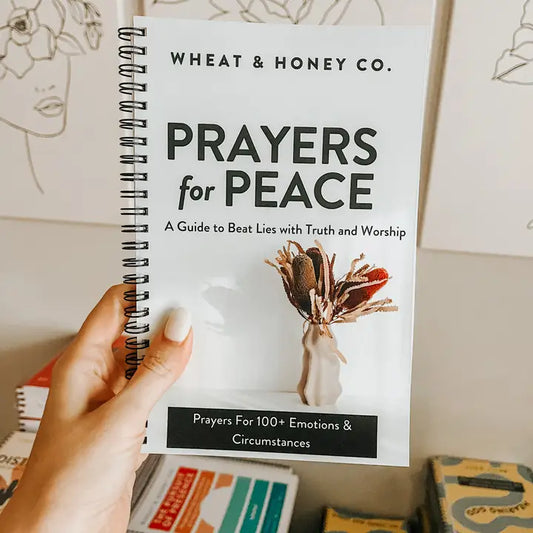 Prayers For Peace: A Guide To Beat Lies with Truth & Worship